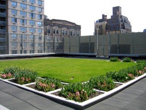 Example of Natural Green Roof Addon