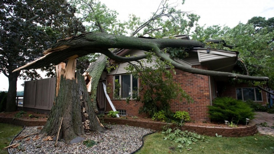 storm-damage-jacksonville