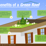 Benefits of a Green Roof