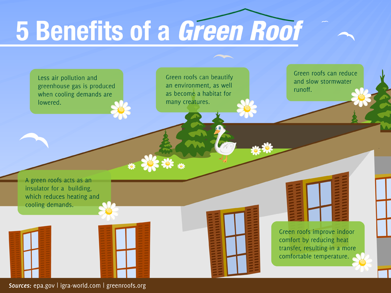 20-Colleges-Embracing-the-Green-Roof-Trend1