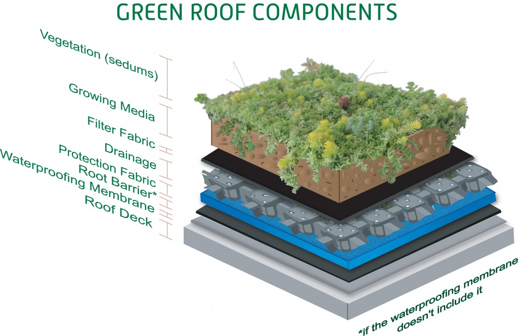 Green Roof Layers