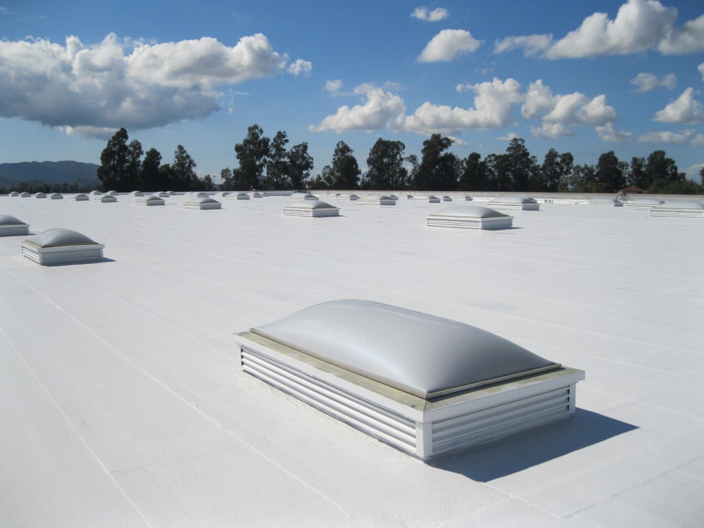 TPO Roofing With Nice white Coating